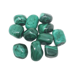 Malachite burattata