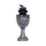 Coven Cup 15.7 cm