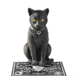 Gatto con tavola ouija